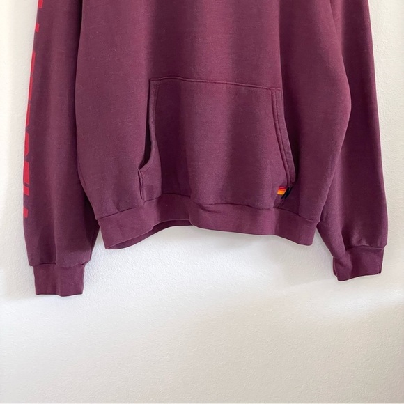 Aviator Nation Will Ferrell Bolt Smiley Relaxed Pullover Hoodie Plum Large - Picture 6 of 12